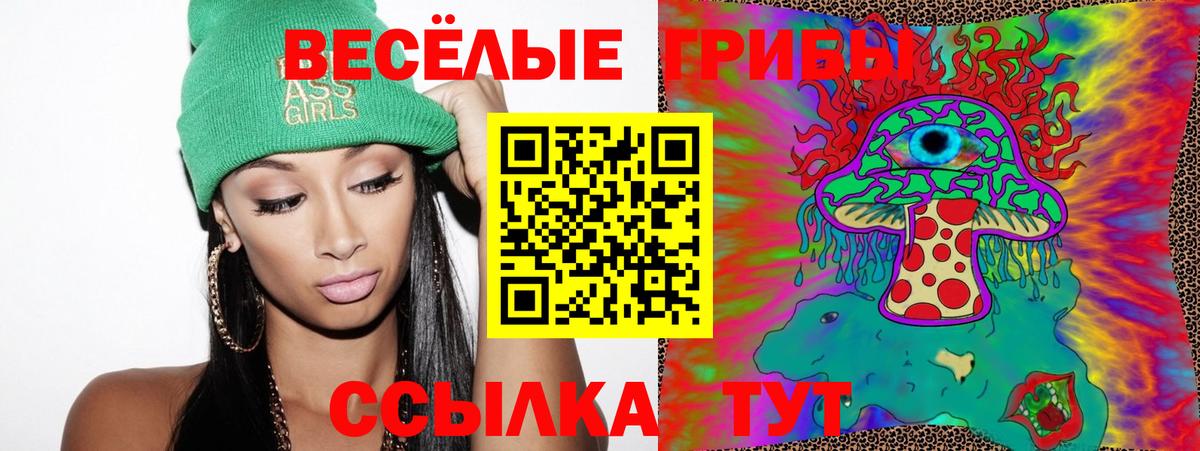 Псилоцибиновые грибы Psilocybine cubensis Еманжелинск