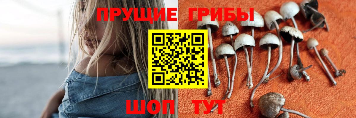 Галлюциногенные грибы Magic Shrooms  Псилоцибиновые грибы Psilocybe  Вход с VPN  Еманжелинск 